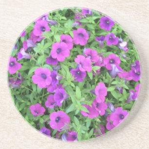 Purple Petunias Coaster