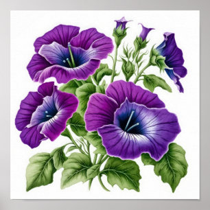 Purple Petunias Flower Art Print Poster
