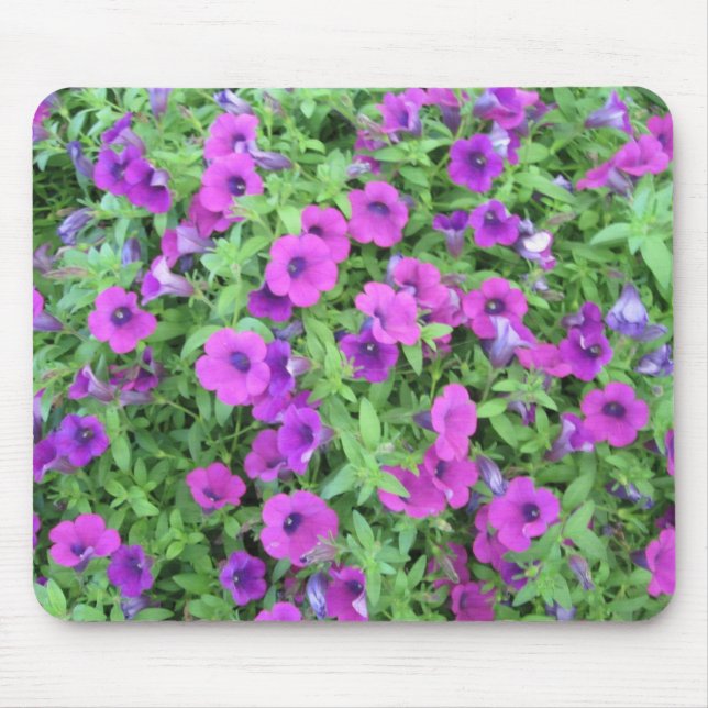 Purple Petunias Mousepad (Front)