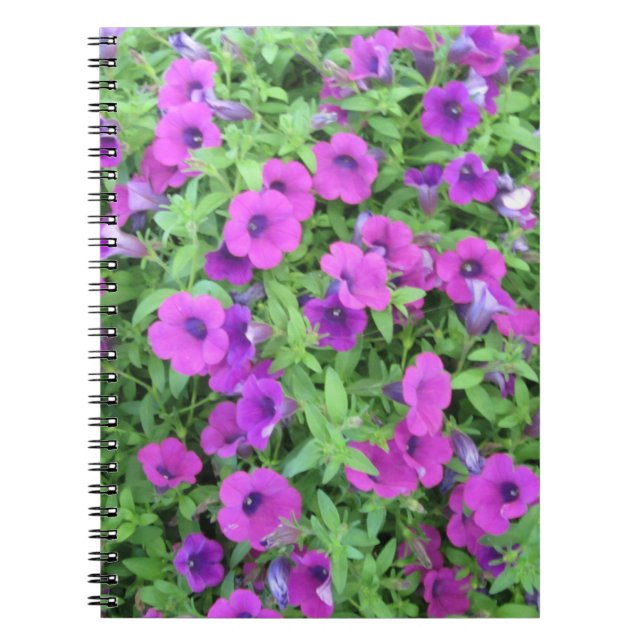 Purple Petunias Notebook (Front)