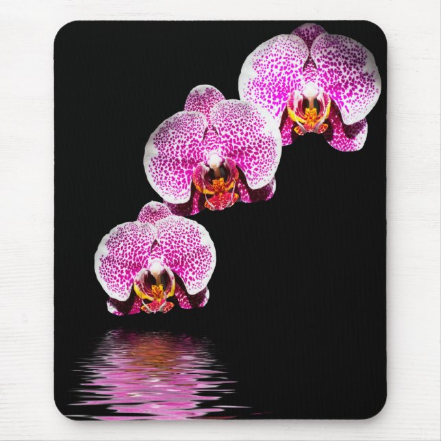 Purple Phalaenopsis Orchids Reflections Mousepad (Front)