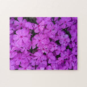 Purple Phlox Flowers Jigsaw Puzzle