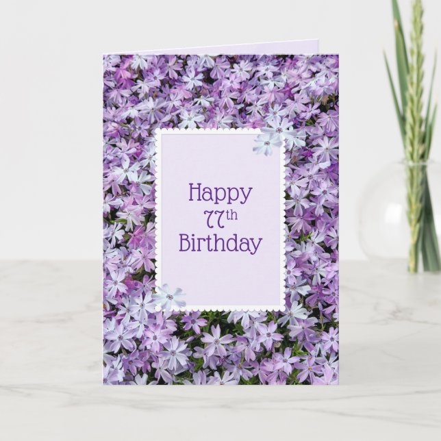 Purple Phlox For 77th Birthday Card (Front)