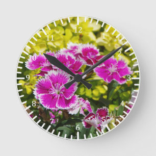 Purple Picotee clock