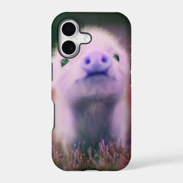 Purple Pigsy (Back)