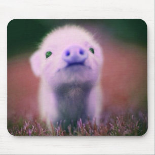 Purple Pigsy Mouse Pad