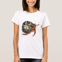 Purple Pincher Hermit Crab Design