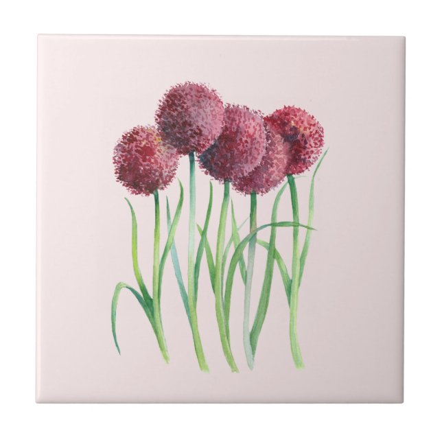 Purple Pink Allium Watercolor Botanical Painting Tile (Front)