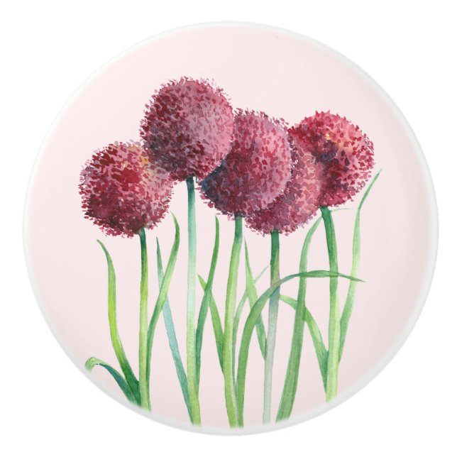 Purple Pink Alliums Flower Watercolor Illustration Ceramic Knob (Front)