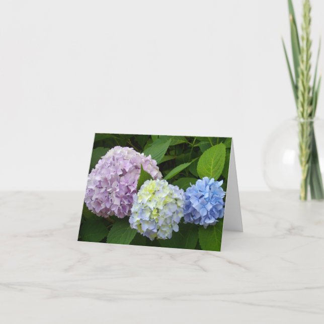 Purple pink flowers elegant Hydrangeas Card (Front)