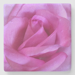 Purple pink rose flower photo bold modern simple stone coaster