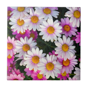 Purple Pink White Daisies Flowers Tile