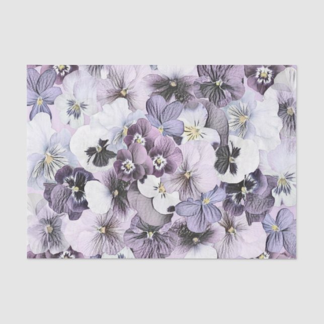 Purple Pink White Pansies Vintage Drawing    Tissue Paper (Front)