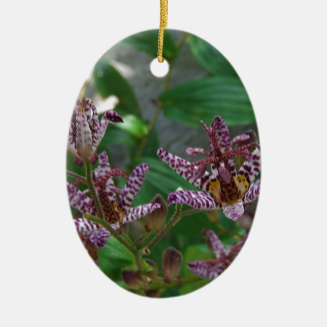 Purple pink white striped orchid like flower lilly ceramic ornament (Front)
