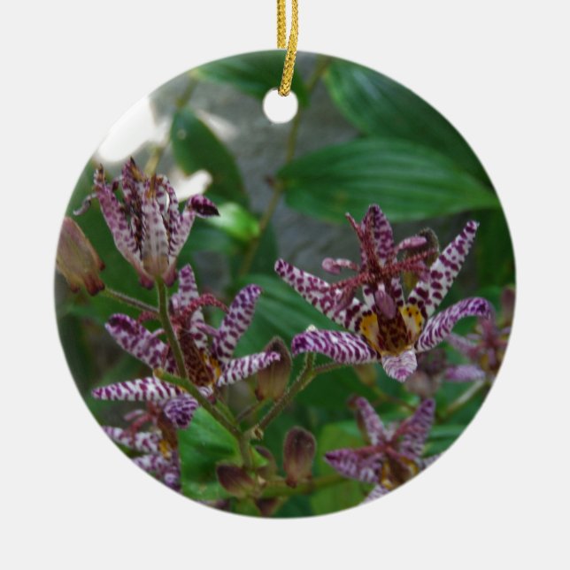 Purple pink white striped orchid like flower lilly ceramic ornament (Front)
