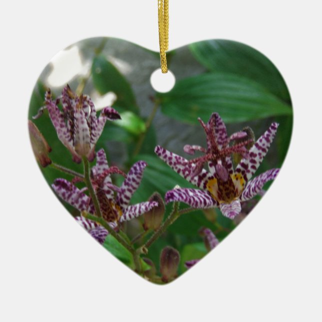 Purple pink white striped orchid like flower lilly ceramic ornament (Front)