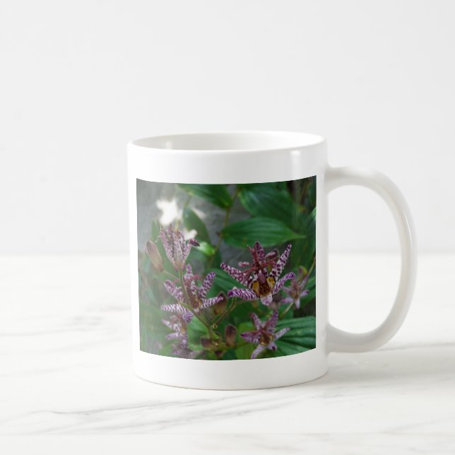 Purple pink white striped orchid like flower lilly coffee mug (Right)