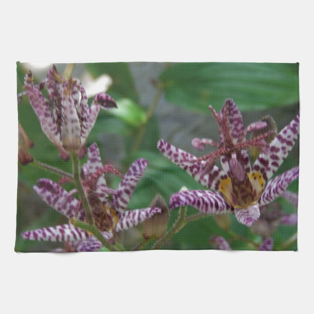Purple pink white striped orchid like flower lilly kitchen towel (Horizontal)