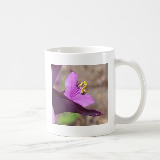 purple plant called spiderwort and a tiny bee coffee mug (Right)