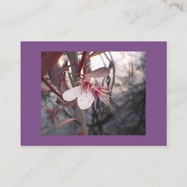 Purple Plum Bloom Business Card (Front)