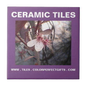 Purple Plum Tile