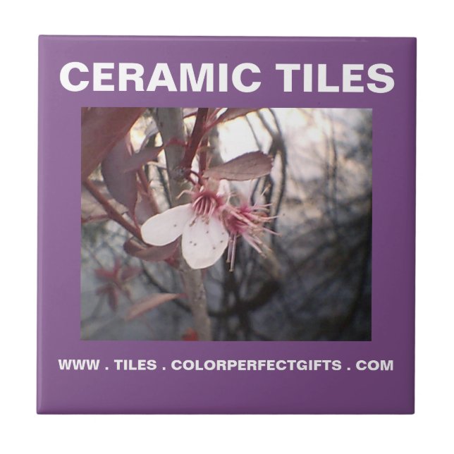 Purple Plum Tile (Front)