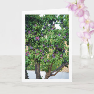 Purple Plum Tree Portrait Card