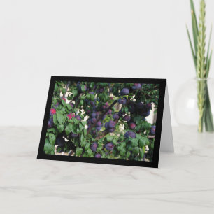 Purple Plums Nestled Among the Leaves Card