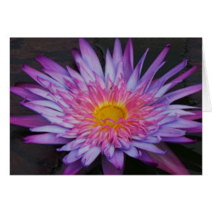 Purple Pond Lily Frameable All Occasion Card 7x5