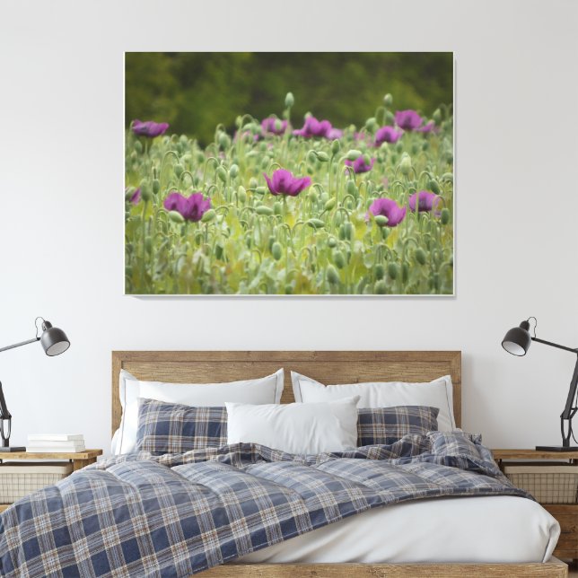 Purple Poppies in Blooming Meadow Canvas Print (Insitu(Bedroom))