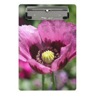 Purple Poppy Clipboard