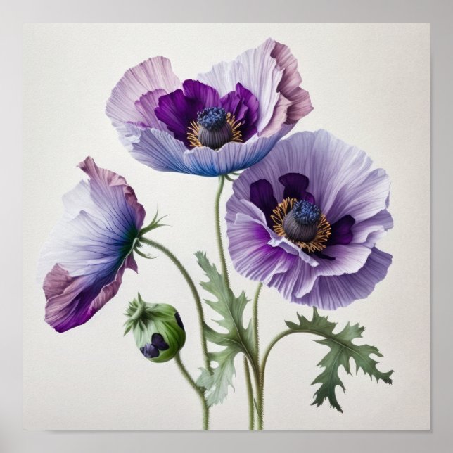 Purple Poppy Flowers Art Print Poster (Front)