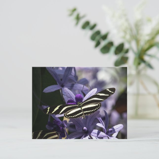 Purple  postcard (Standing Front)