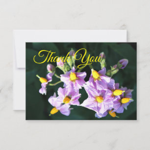 Purple Potato Flower Thank You Card