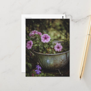 Purple Pretty Petunias Postcard
