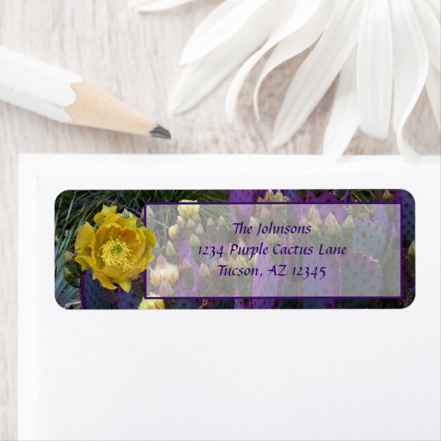 Purple Prickly Pear Opuntia Cactus Yellow Flowers (Insitu)