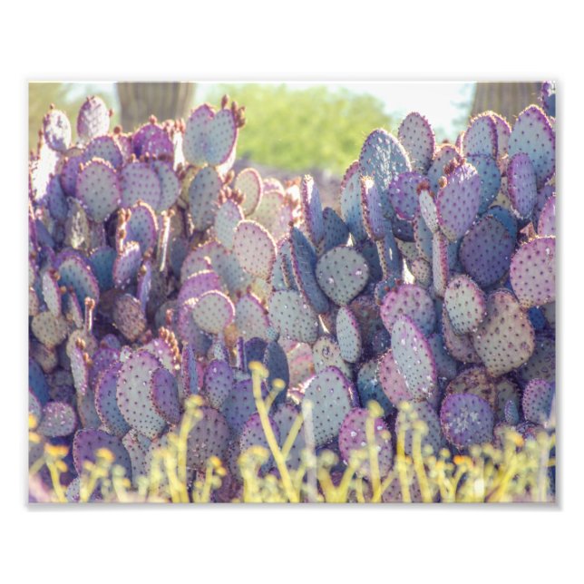Purple Prickly Pears | Photo Print (Front)