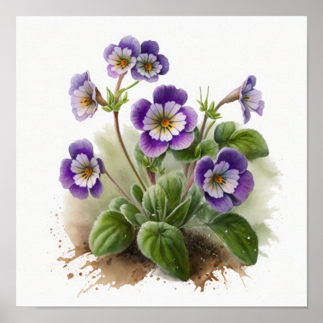 Purple Primrose Fleurs Art Imprimer Poster (Devant)