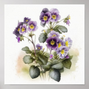 Purple Primrose Flower Art Print Poster