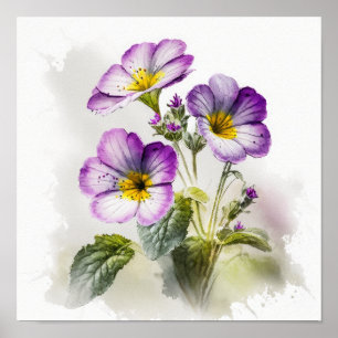 Purple Primrose Flowers Art Print Poster
