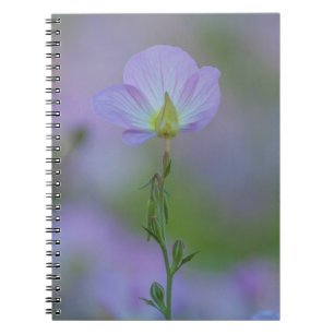 Purple Primrose Notebook