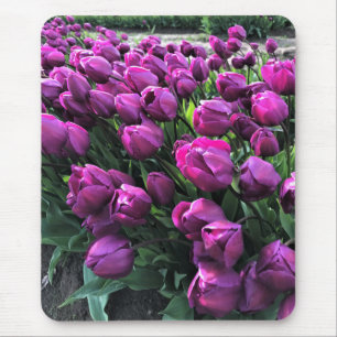Purple Prince Tulips Mouse Pad