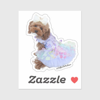 Purple Princess Chiffon: Cute Maltipoo Puppy