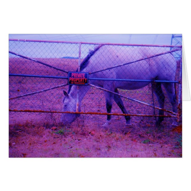 Purple Private Property Horse (Front Horizontal)