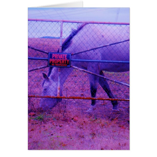 Purple Propriété Privée Horse (Devant)
