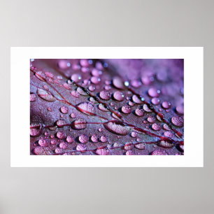 Purple Rain Poster