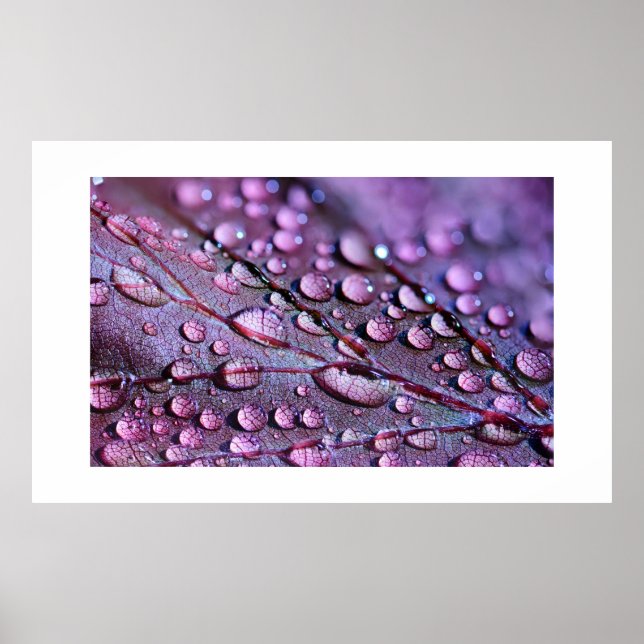 Purple Rain Poster (Front)