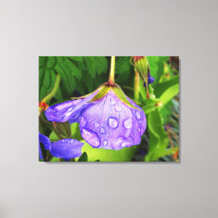 Purple Raindrops Canvas Print