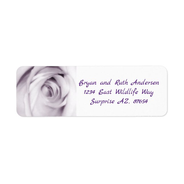 Purple rose (Front)