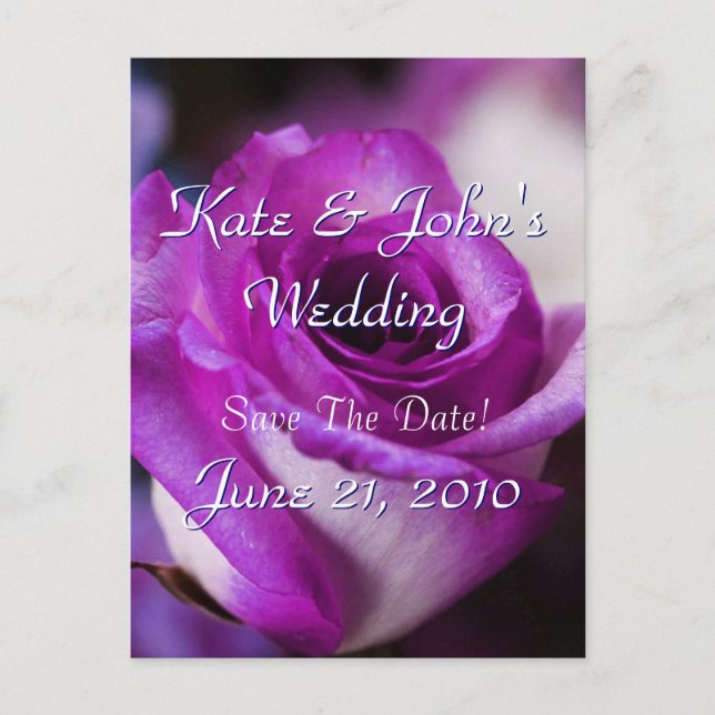 Purple Rose Announcement Postcard (Front)